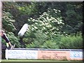 100_2166.JPG