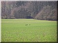 100_3623.JPG