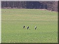 100_3624.JPG